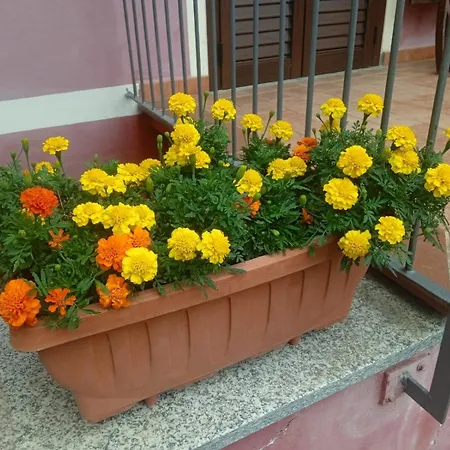 La Casa Rossa Nel Monferrato A Moncucco Torinese