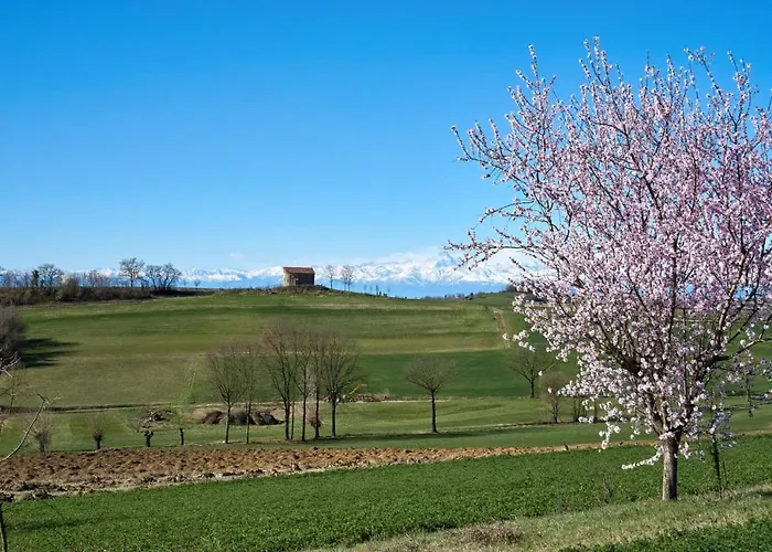 La Casa Rossa Nel Monferrato A 別荘 *